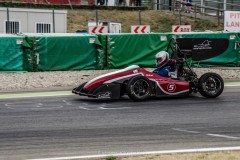 DSC_3009-1